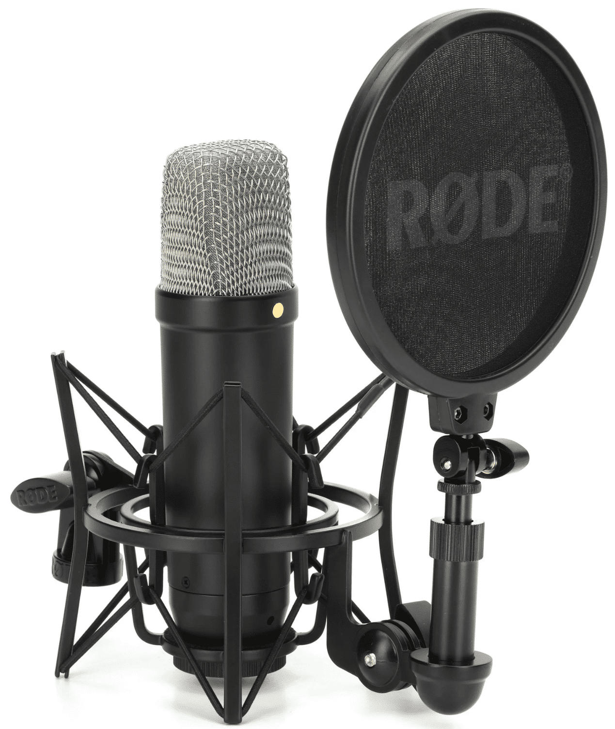 The 10 Best Microphones for Vocals (Updated 2024)! - THR